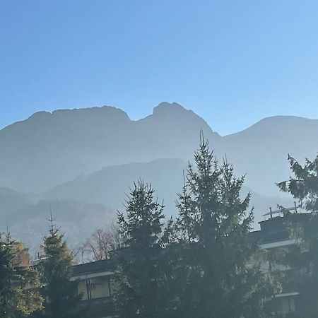 Apartamentylove - Apartament U Janicka, 100M Do Krupowek Zakopane Bagian luar foto